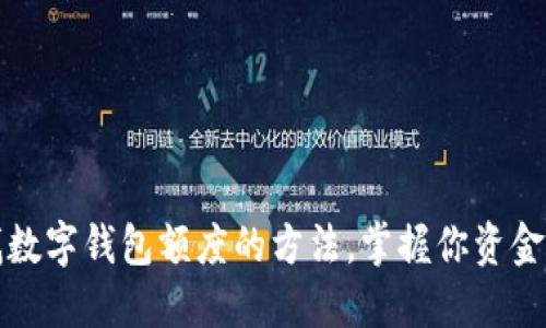 轻松查找数字钱包额度的方法,掌握你资金的每一分