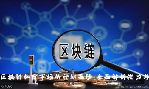 揭开区块链细分市场的神秘面纱：全面解析潜力与机会