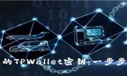 如何找回丢失的TPWallet密钥：一步步教你解决方案