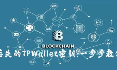 如何找回丢失的TPWallet密钥：一步步教你解决方案