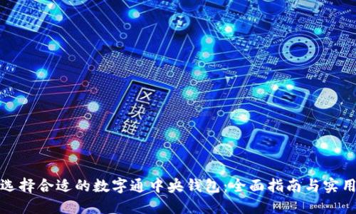 如何选择合适的数字通中央钱包：全面指南与实用技巧