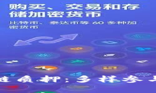 探索区块链质押：多样参与方式详解