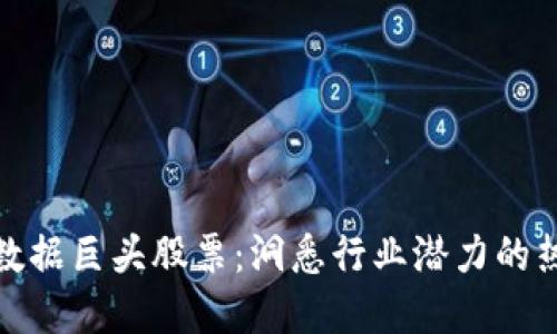 揭示区块链数据巨头股票：洞悉行业潜力的热门投资选择