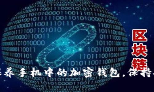 如何正确保养手机中的加密钱包，保持安全与高效