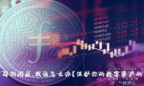 加密钱包公司倒闭后,我该怎么办?保护你的数字资产的策略与建议