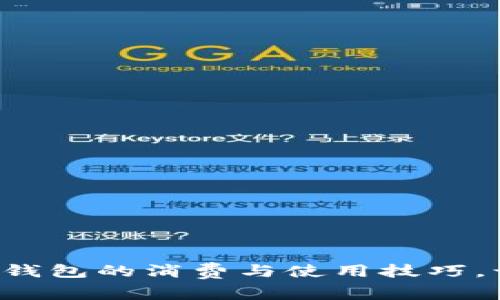 轻松掌握数字钱包的消费与使用技巧，让生活更便捷！