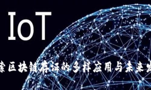 探索区块链存证的多样应用与未来发展