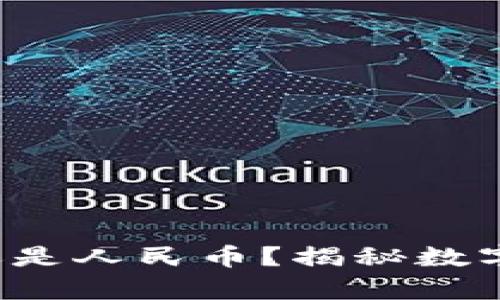TPWallet资产:美元还是人民币?揭秘数字资产背后的货币真相