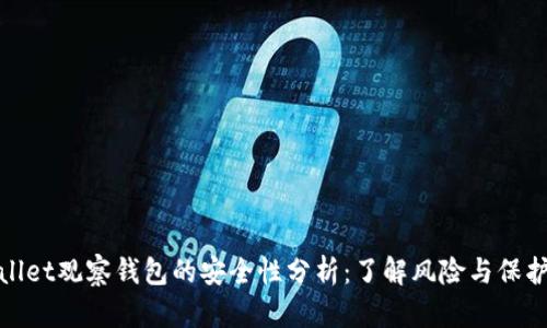 TPWallet观察钱包的安全性分析：了解风险与保护措施