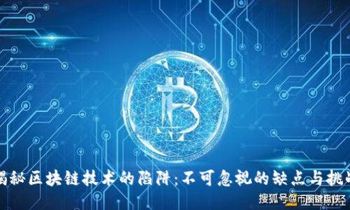 揭秘区块链技术的陷阱:不可忽视的缺点与挑战