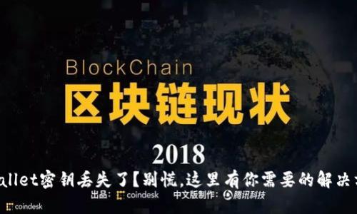 TPWallet密钥丢失了？别慌，这里有你需要的解决方案！