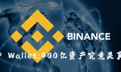 揭秘TP Wallet：400亿资产究竟是真是假？