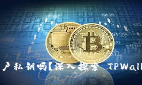 TPWallet 真的保存用户私钥吗？深入探索 TPWallet 的安全性与隐私性
