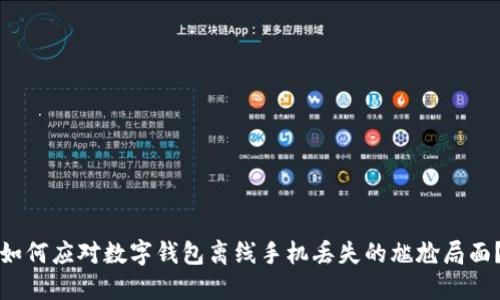 如何应对数字钱包离线手机丢失的尴尬局面？