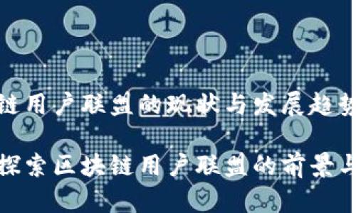 区块链用户联盟的现状与发展趋势

深度探索区块链用户联盟的前景与影响