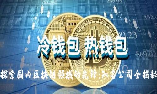 探索国内区块链领域的先锋：知名公司全揭秘