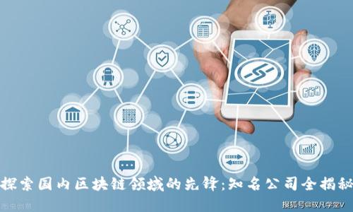 探索国内区块链领域的先锋：知名公司全揭秘