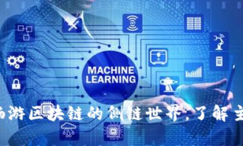 深度剖析：畅游区块链的侧链世界，了解主要侧链项目