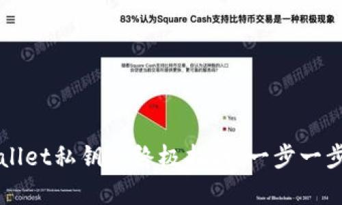 轻松找回TPWallet私钥的终极指南:一步一步教你恢复资产