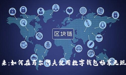拥抱未来:如何在马尔代夫使用数字钱包畅享无现金生活