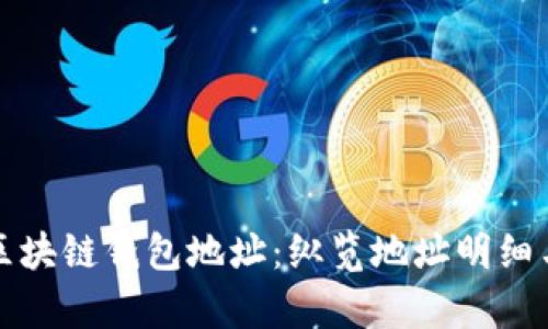 全面解析区块链钱包地址:纵览地址明细与实用指南