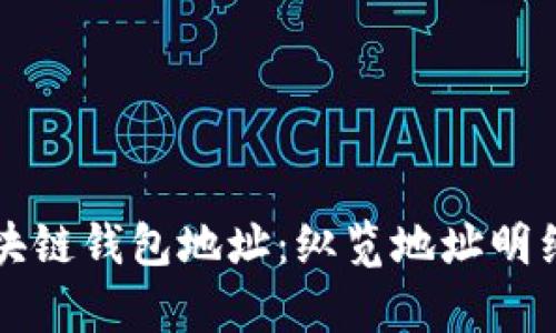 全面解析区块链钱包地址:纵览地址明细与实用指南