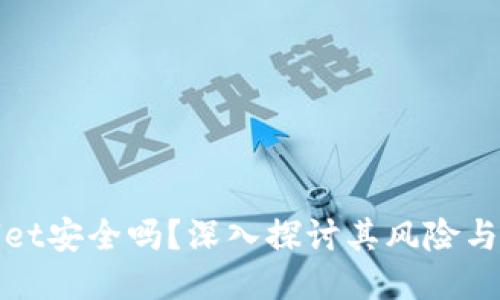 TPWallet安全吗？深入探讨其风险与安全性