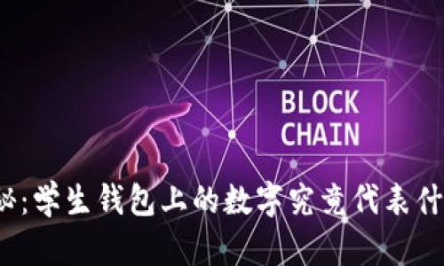 探秘:学生钱包上的数字究竟代表什么?