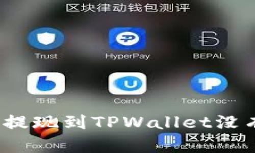 如何快速解决提现到TPWallet没有显示的问题?