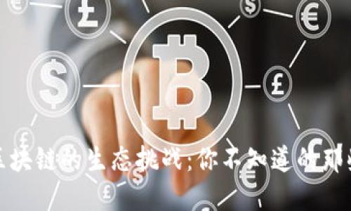 探索区块链的生态挑战:你不知道的那些问题