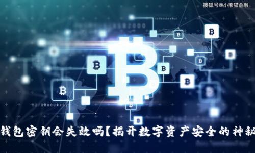 加密钱包密钥会失效吗?揭开数字资产安全的神秘面纱