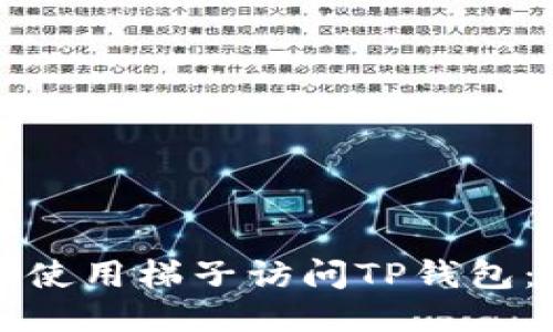 如何顺利使用梯子访问TP钱包:详细指南