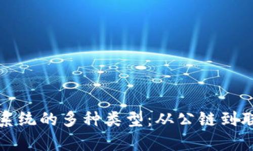 探索区块链新型系统的多种类型：从公链到联盟链的深度解析