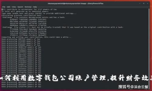 如何利用数字钱包公司账户管理，提升财务效率