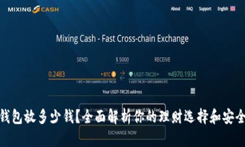 数字钱包放多少钱？全面解析你的理财选择和安全策略