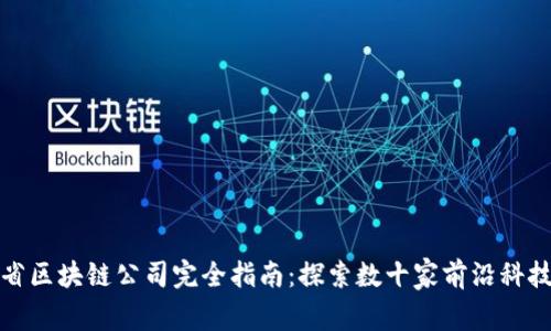 湖南省区块链公司完全指南：探索数十家前沿科技企业