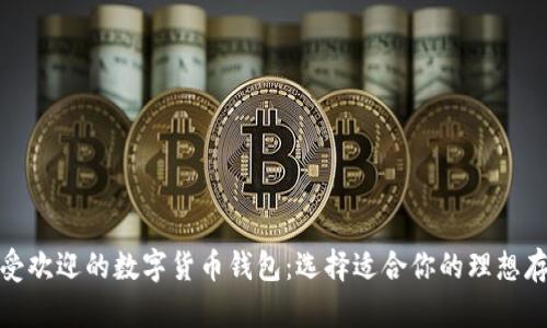探索最受欢迎的数字货币钱包：选择适合你的理想存储方案