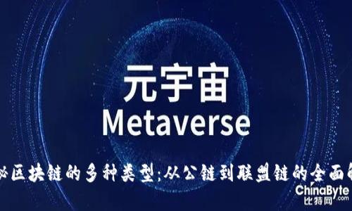 探秘区块链的多种类型：从公链到联盟链的全面解析