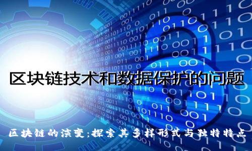区块链的演变：探索其多样形式与独特特点