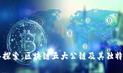 深入探索：区块链五大公链及其独特魅力