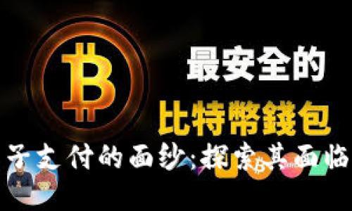 揭开区块链电子支付的面纱：探索其面临的问题与挑战