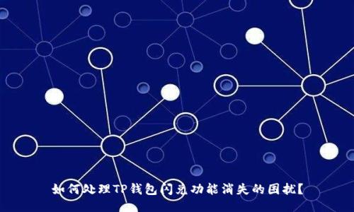 如何处理TP钱包闪兑功能消失的困扰？