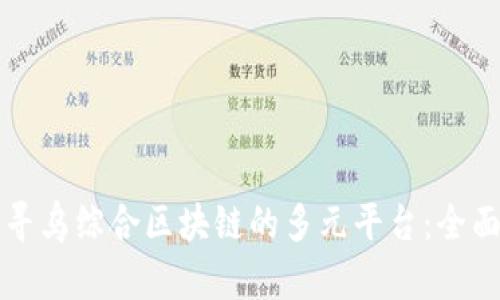 发掘寻乌综合区块链的多元平台：全面解析