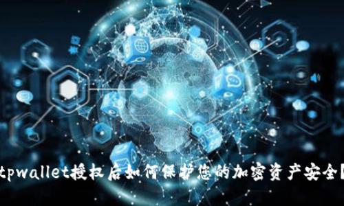tpwallet授权后如何保护您的加密资产安全？