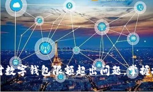 如何有效应对数字钱包限额超出问题，掌握技巧轻松解决