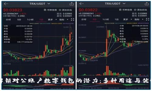 解锁对公账户数字钱包的潜力：多种用途与优势