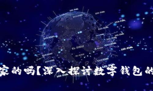 数字钱包属于国家的吗？深入探讨数字钱包的定义与国家监管