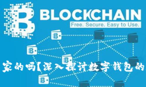 数字钱包属于国家的吗？深入探讨数字钱包的定义与国家监管