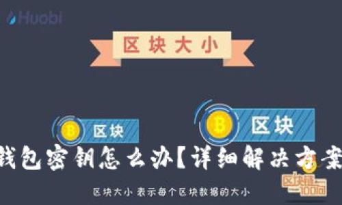 忘记TP钱包密钥怎么办?详细解决方案大揭秘!