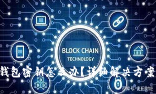 忘记TP钱包密钥怎么办?详细解决方案大揭秘!